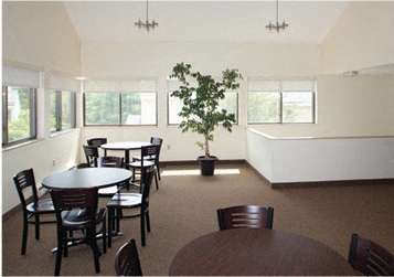 A room with a table and chairs and a potted plant.